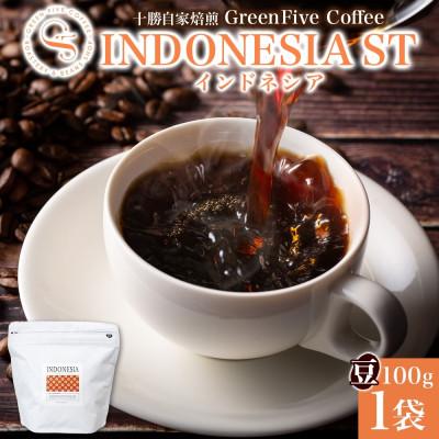 ふるさと納税 帯広市 コーヒー豆 インドネシア 100g 1袋 鮮度を高めたスペシャリティコーヒー 北海道 帯広市