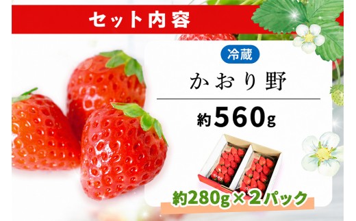 【2027年4月発送】【先行予約】【農場直送！】かおり野(約280g×2P)【ふるさと納税 佐賀県 基山町産 げんき農場 苺 ブランド苺 イチゴ いちご フルーツ 果物 くだもの 美味しい おいしい 
