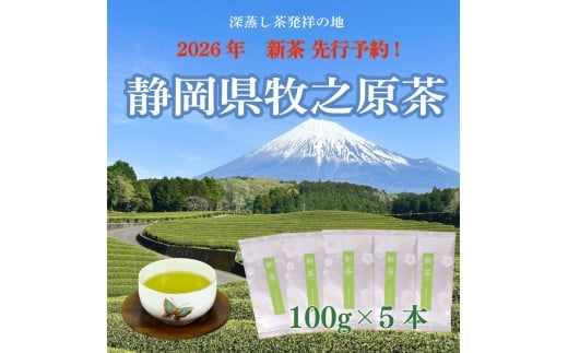 【先行予約】 2026年度産 新茶 シルバー 100ｇ×5本 お茶 静岡  新茶 濃旨 緑茶  深蒸し茶 深蒸し 茶 水出し緑茶 水出し 静岡茶 日本茶 飲料 飲み物 ドリンク 深むし茶 煎茶 セット お茶 茶 深蒸し 煎茶 旬 日常 牧之原産 甘い コク 便利 簡単 銀 茶葉 静岡茶 牧之原茶  プレゼント 贈答 贈答品 贈り物  産地直送 国産 日本 人気  静岡 県 牧之原市 小栗農園