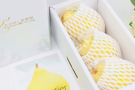 【2025年先行予約】 たかはし果樹園 謹製 新潟特産 幻の洋梨ル・レクチェ 厳選品 約1kg 《11月下旬以降配送》 果物 フルーツギフト 冬の味覚 産地直送加茂市 たかはし果樹園 ルレクチェ 洋梨