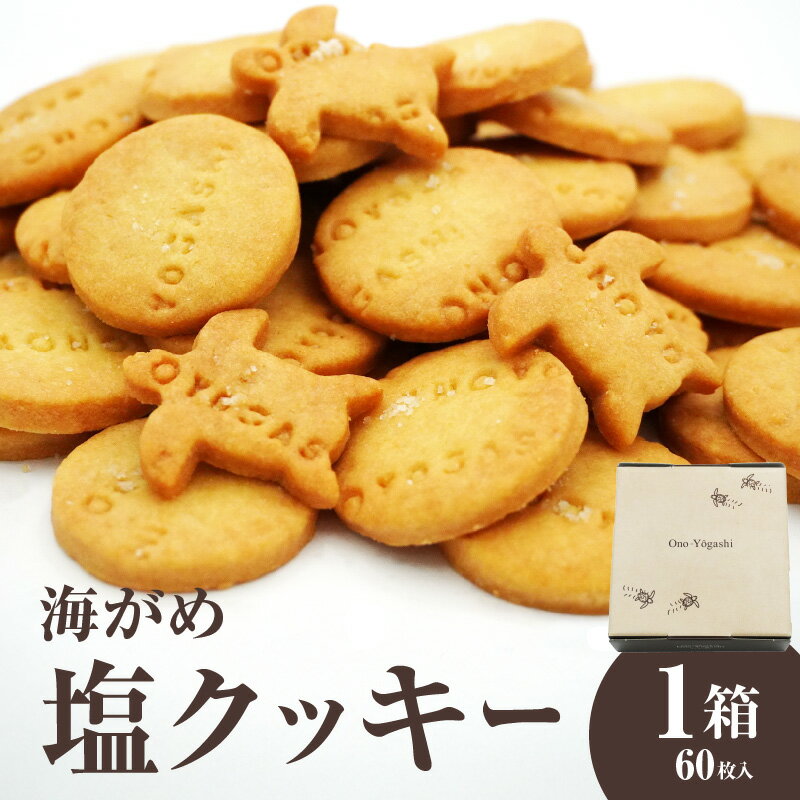 【ふるさと納税】海がめ塩クッキー充実BOX (57枚+子がめクッキー3枚) 箱入り なずなの塩 天然塩 国産 バター お菓子 洋菓子 クッキー おやつ 子ども お土産 常温 カメ ウミガメ 亀 ミネラル 大分 J01018
