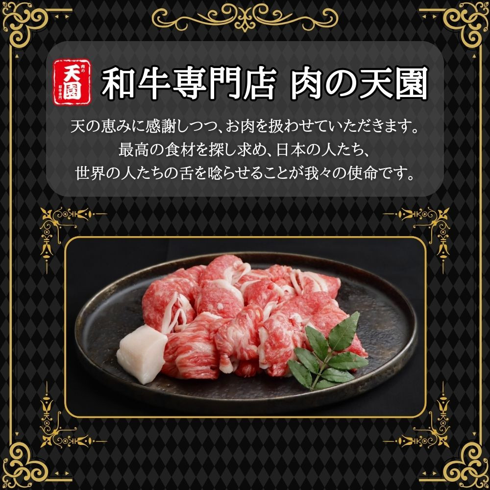 【ふるさと納税】【肉の天園】神戸牛 切り落とし 700g SI06