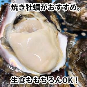 XXLサイズ!天然岩牡蠣6kg(7～12個・特上殻付き生食用)CAS冷凍カキ 海鮮バーベキューに!