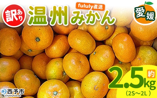 ＜fululy直送 温州みかん 訳あり 約2.5kg（2S〜2L）＞ ワケアリ サイズ混合 果物 フルーツ 蜜柑 うんしゅうみかん ウンシュウミカン 柑橘 家庭用 合同会社fululy 直送 愛媛県 西予市【常温】『2026年11月上旬～2026年12月中旬迄に順次出荷』