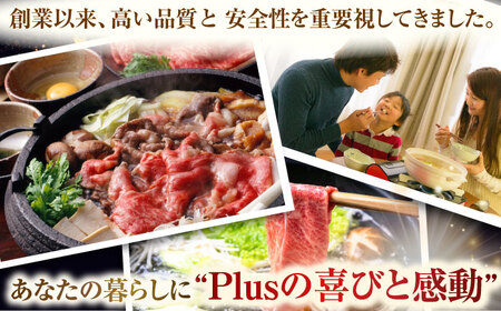 【全6回定期便】【訳あり】【A4～A5】長崎和牛しゃぶしゃぶすき焼き用（肩ロース肉・肩バラ肉・モモ肉）700g【株式会社 MEAT PLUS】 [QBS067] [QBS067]