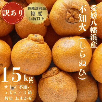 【ふるさと納税】【糖度14.0以上酸1.4以下】糖酸選別品 愛媛産 訳あり不知火(しらぬひ)15kg【G20-96】【配送不可地域：離島】【1625364】