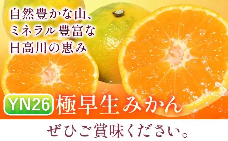 みかん 極早生みかん YN26 約10kg