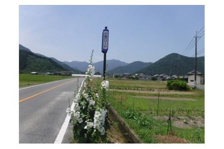 匂辛夷 エッセンシャルオイル3点セット 〈丹波市産〉〈数量限定〉 アロマ 精油