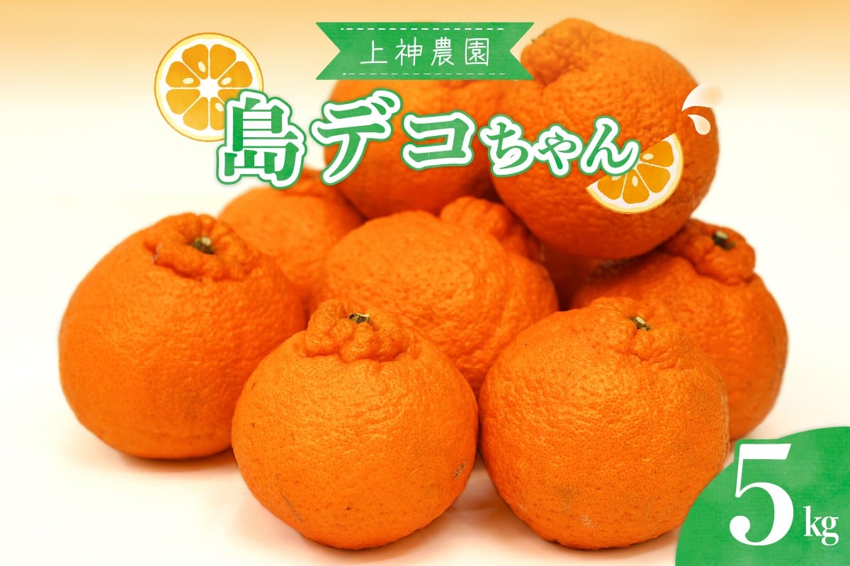 
            【2026年2月～発送】上神農園の島デコちゃん 約5kg ku011-005-25
          