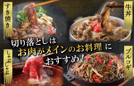 【2026年6月以降順次発送】松阪牛切り落し 1㎏　SS39