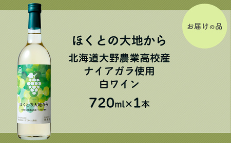 白ワイン「ほくとの大地から」～北海道大野農業高校産ナイアガラ～白720ml 【 ふるさと納税 人気 おすすめ ランキング ワイン 白ワイン ライト 720ml 葡萄 ぶどう 果実酒 お酒 ギフト 贈答