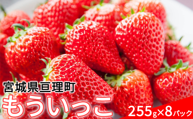 
                  【亘理町産いちご】もういっこ 255g×8パック
                