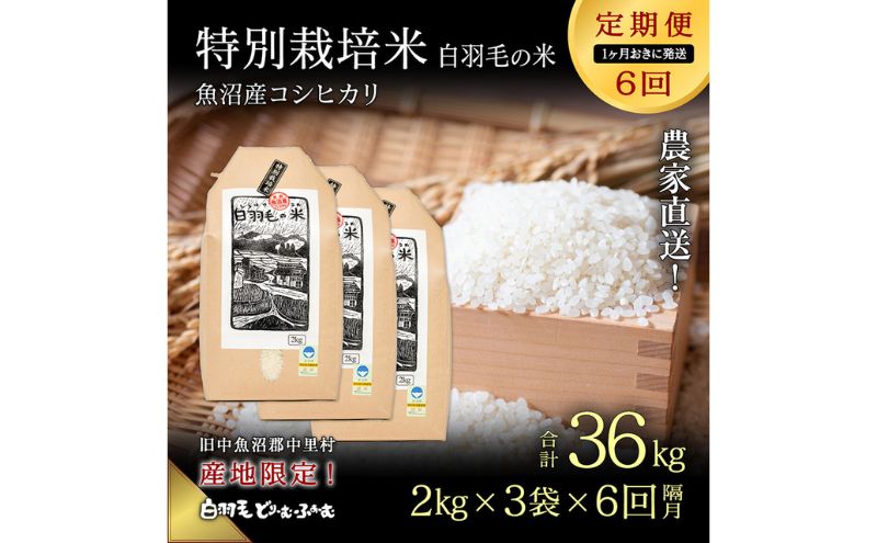 【通年受付】≪令和6年産　≫【定期便／1ヶ月おき全6回】農家直送！魚沼産コシヒカリ特別栽培「白羽毛の米」精米(2kg×3袋)×6回 36kg