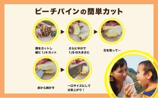 2027年 先行予約 定期便 週1 ピーチパイン 約18kg (約6kg(6～10玉)×3回配送) "いってＱ"でも紹介された 西表島ひらい農園 濃密　027-a004-2027