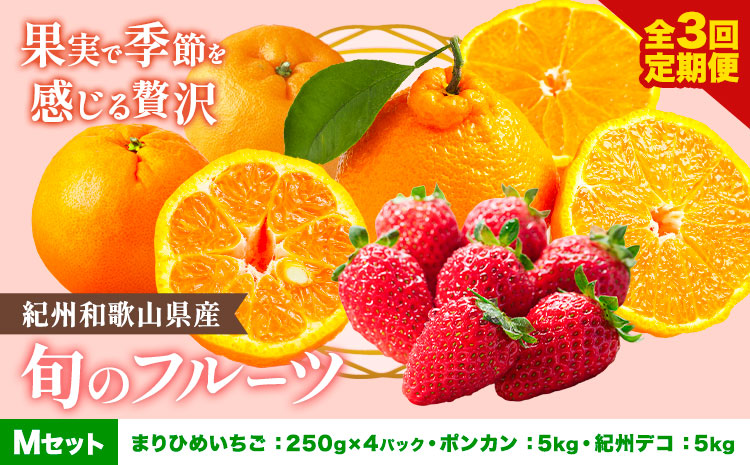 【発送月固定定期便】紀州和歌山県産 旬のフルーツ (いちご・ポンカン・紀州デコ) 全3回 Mセット 魚鶴商店《1月上旬-3月下旬頃出荷》 和歌山県 日高町 まりひめ いちご ポンカン 紀州デコ 不知火
