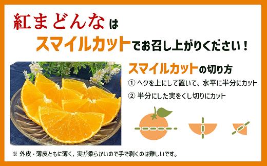 【2024年12月配送】みかん 愛媛 愛媛県産 紅まどんな 秀品 3個入り 人気 数量限定 柑橘 伊予市｜B123