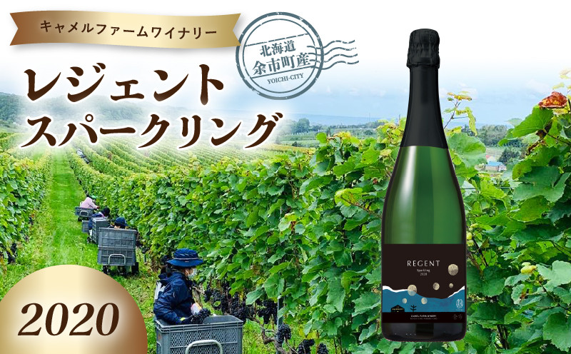 
                  レジェントスパークリング2020＜キャメルファームワイナリー＞
                