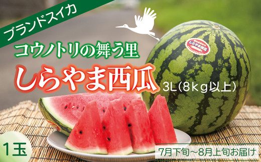 〈2025年 先行予約〉【コウノトリが舞う里で栽培される西瓜】しらやま西瓜　3L（8kg以上）1玉ブランドスイカ