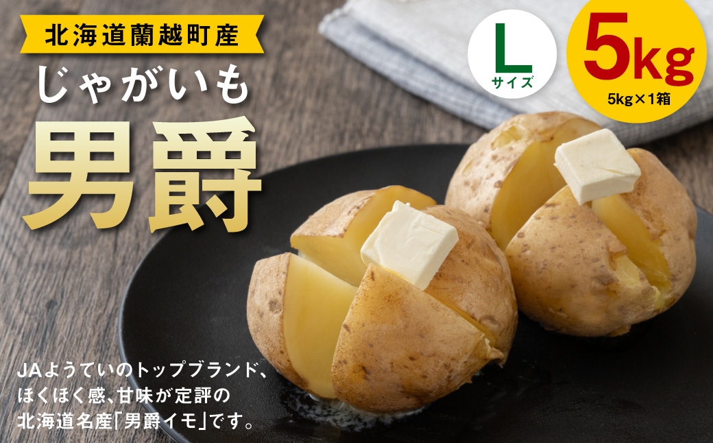 
                  じゃがいも （ 男爵 ） Lサイズ 約5kg × 1箱 約5kg （ JA ） ジャガイモ ポテト いも イモ 芋 男爵イモ 野菜 やさい 甘味 ホクホク 国産 北海道産 【 2026年9月下旬～2027年2月下旬迄発送予定 】
                
