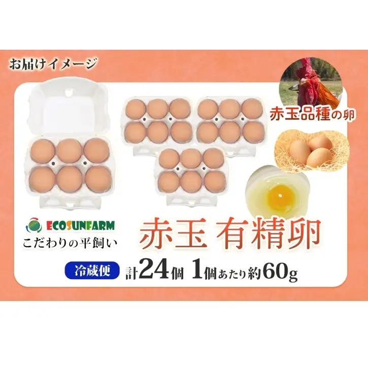 エコサンファーム 平飼い 赤玉有精卵 24個 赤玉 有精卵 こだわり 国産 鶏卵 鶏 発酵飼料 たまご かけご飯 料理 スイーツ お取り寄せ 産地直送 朝食 埼玉県 蓮田市