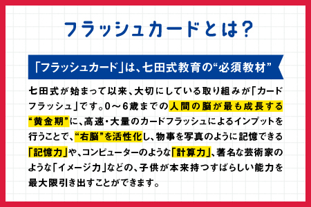 江津市限定返礼品 七田式ドッツセット 【SC-55】｜送料無料 しちだ 七田式 右脳 記憶力 カード 幼児 計算力 フラッシュカード 子育て 教育 教材 教材セット 勉強 こども 子ども キッズ 知育