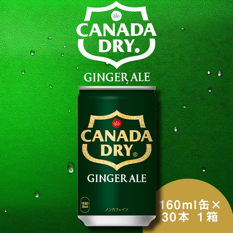 【ふるさと納税】カナダドライ ジンジャーエール 160ml×30本 1ケース 缶 160ml 炭酸飲料 甘さ控えめ ギフト 贈答 贈り物 お中元 お歳暮