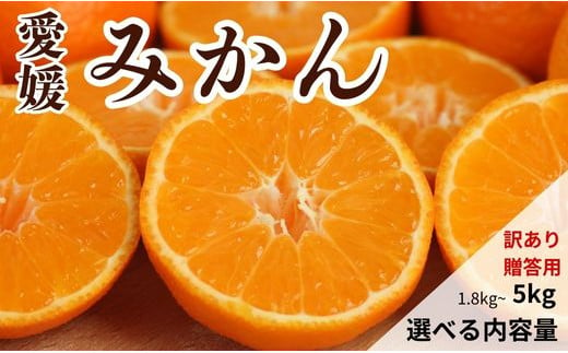 
            期間限定 選べる規格・内容量 愛媛みかん  1.8kg 3kg 5kg  (傷み保証200g)【発送期間：2024年10月20日～なくなり次第終了】果物 柑橘 みかん 蜜柑 フルーツ ゼリー ジュース オレンジ 甘い 糖度 美味しい ビタミン 美容 健康 不揃い 傷 愛媛 愛南町 吉本農園 送料無料 
          