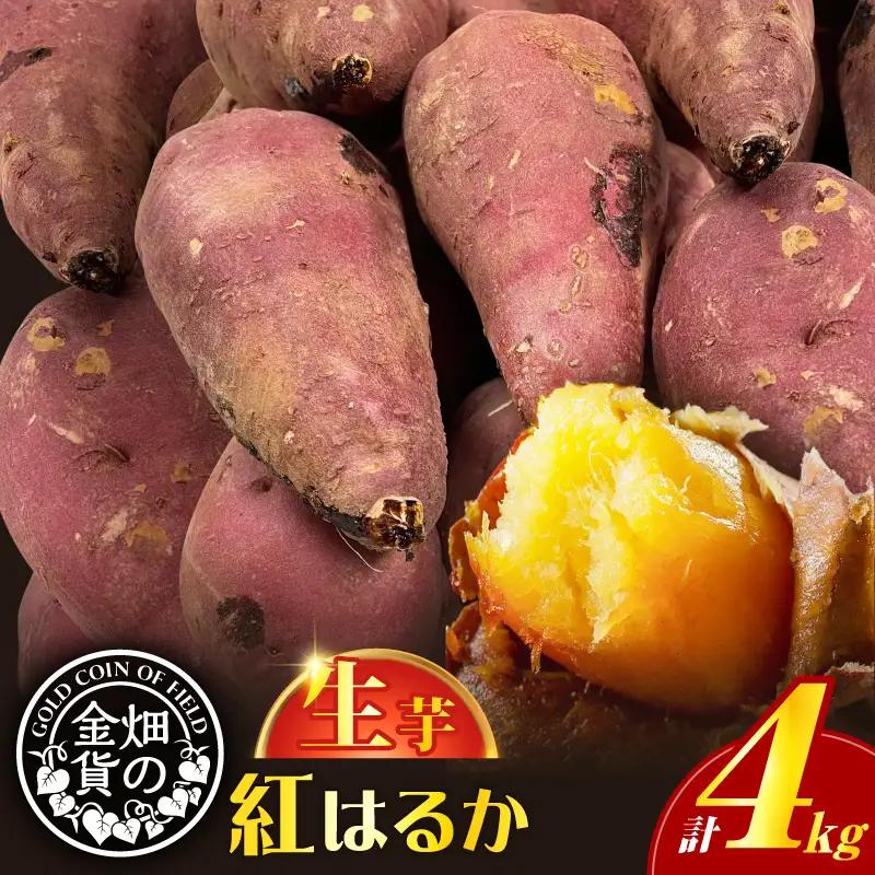 畑の金貨 生芋 紅はるか 4kg K181-006 やきいも 芋 いも イモ さつまいも さつま芋 サツマイモ 野菜 焼芋 蜜芋 甘芋 熟成 スイートポテト スイーツ デザート 大学芋 天ぷら 料理 レンジ おやつ スイーツ 人気 ランキング おすすめ オススメ プレゼント ギフト しっとり 滑らか 畑の金貨 甘いも販売所 鹿児島 薩摩 加治木産業