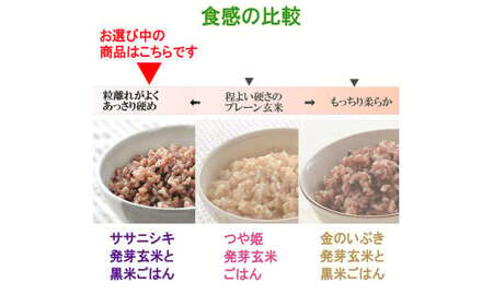 ササニシキ発芽玄米と黒米を炊いたごはん150g×16パック（有機栽培玄米使用）