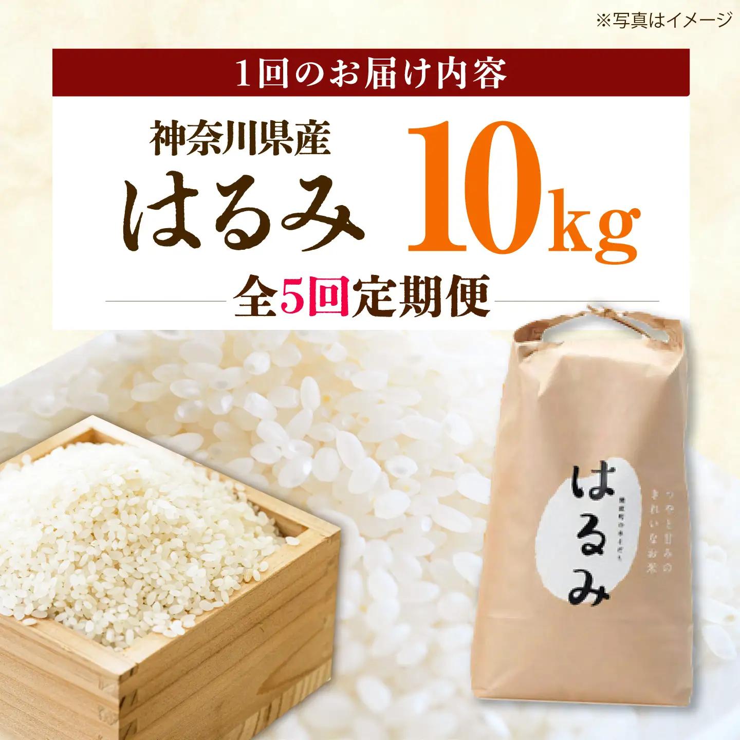 【全5回定期便】【特Aランク受賞実績あり！】はるみ 10kg　【遠藤ファーム】開成町 米 ご飯 白米 お米 特A[BDAF006-6]