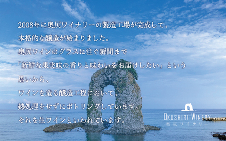 「奥尻ワイン」ツヴァイゲルトレーベ 【 ふるさと納税 人気 おすすめ ランキング ワイン 奥尻ワイン 赤ワイン 赤 ツヴァイゲルトレーベ 北海道 奥尻町 送料無料 】 OKUM013