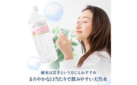 細野の天然水 555ml×24本 2箱（ミネラルウォーター 天然水 水 中硬水 シリカ ミネラル 美容 健康 人気 宮崎県 小林市）
