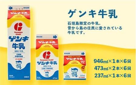 【ふるさと納税限定】【定期便_6回】八重山ゲンキ乳業 オールスターセット【八重山ゲンキ乳業】【ゲンキ牛乳】【石垣島のソウルドリンク ゲンキクール】【ゲンキカフェ】【さんぴん茶ミルクティー】GN-2_6