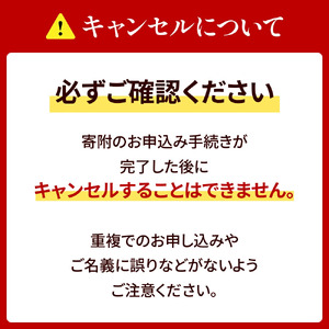 ノート コクヨ ソフトリングノート A5 ドット入り罫線 水色 10冊 文房具 滋賀 愛荘