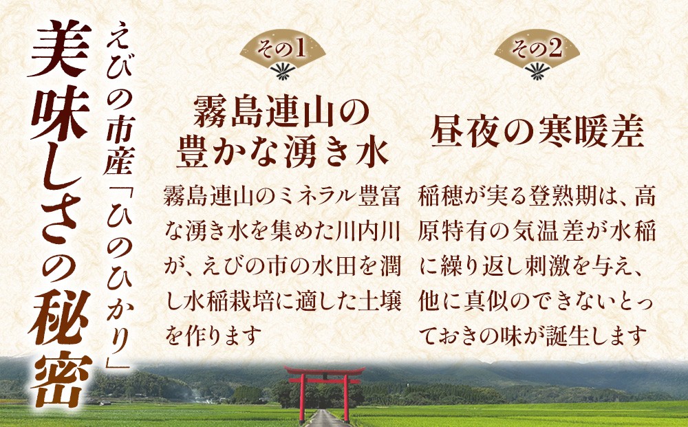 【回数/発送月 選べる】【令和8年産】えびの産 ヒノヒカリ 5kg