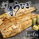 【ふるさと納税】幻の青うなぎ 白焼 選べる尾数 4尾 〜 6尾 タレ付き 山椒付き 厳選 青鰻 ウナギ うなぎ 鰻 白焼き 最高級 ひつまぶし 土用丑の日 ギフト 冷凍 増量 丑の日 簡単調理 父の日 こだわり 人気 unagi お取り寄せ