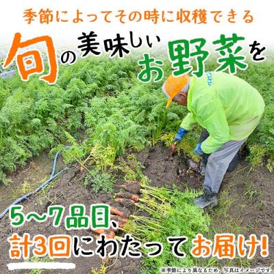 ふるさと納税 西予市 <せいよのうまいもんセット 3回定期便> 西予市産 愛媛県産 国産 旬 季節の野菜 やさい |  | 01