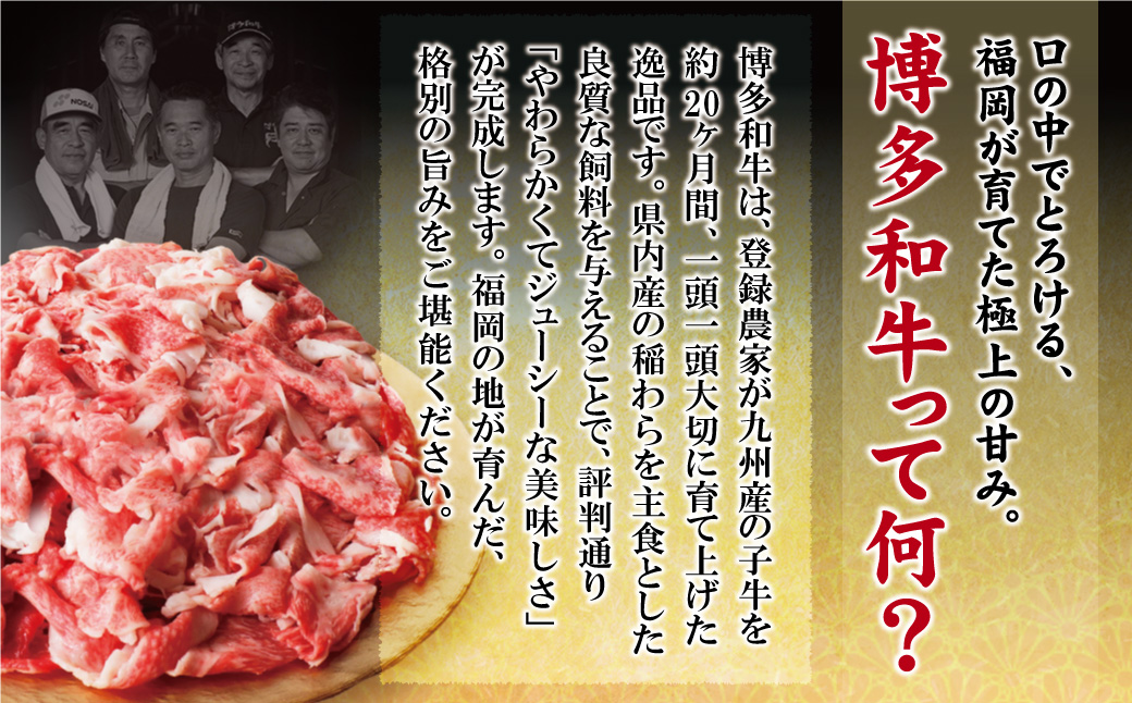 【訳あり】博多和牛　切り落とし1kg