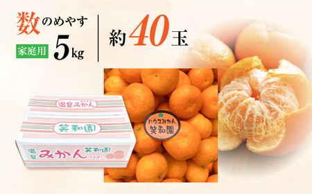 ハウスみかん 5kg 家庭用 笑和園 みかん