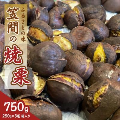 ふるさと納税 笠間市 【2026年先行予約】 笠間の焼栗 3袋×250g　750g入り 農産物直売所すわ 茨城県笠間市