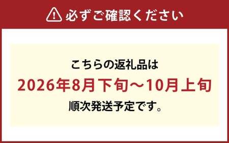 【先行予約】岡山県産 ニューピオーネ  4房（1房480g以上）約2kg【2026年8月下旬～10月上旬まで順次発送予定】【ぶどう ニューピオーネ フルーツ 国産 人気 おすすめ 岡山県 倉敷市】