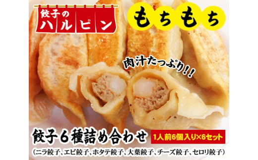 
No.060 餃子6種詰め合わせ　6人前＜餃子のハルピン＞ ／ ぎょうざ ギョーザ 中華 東京都
