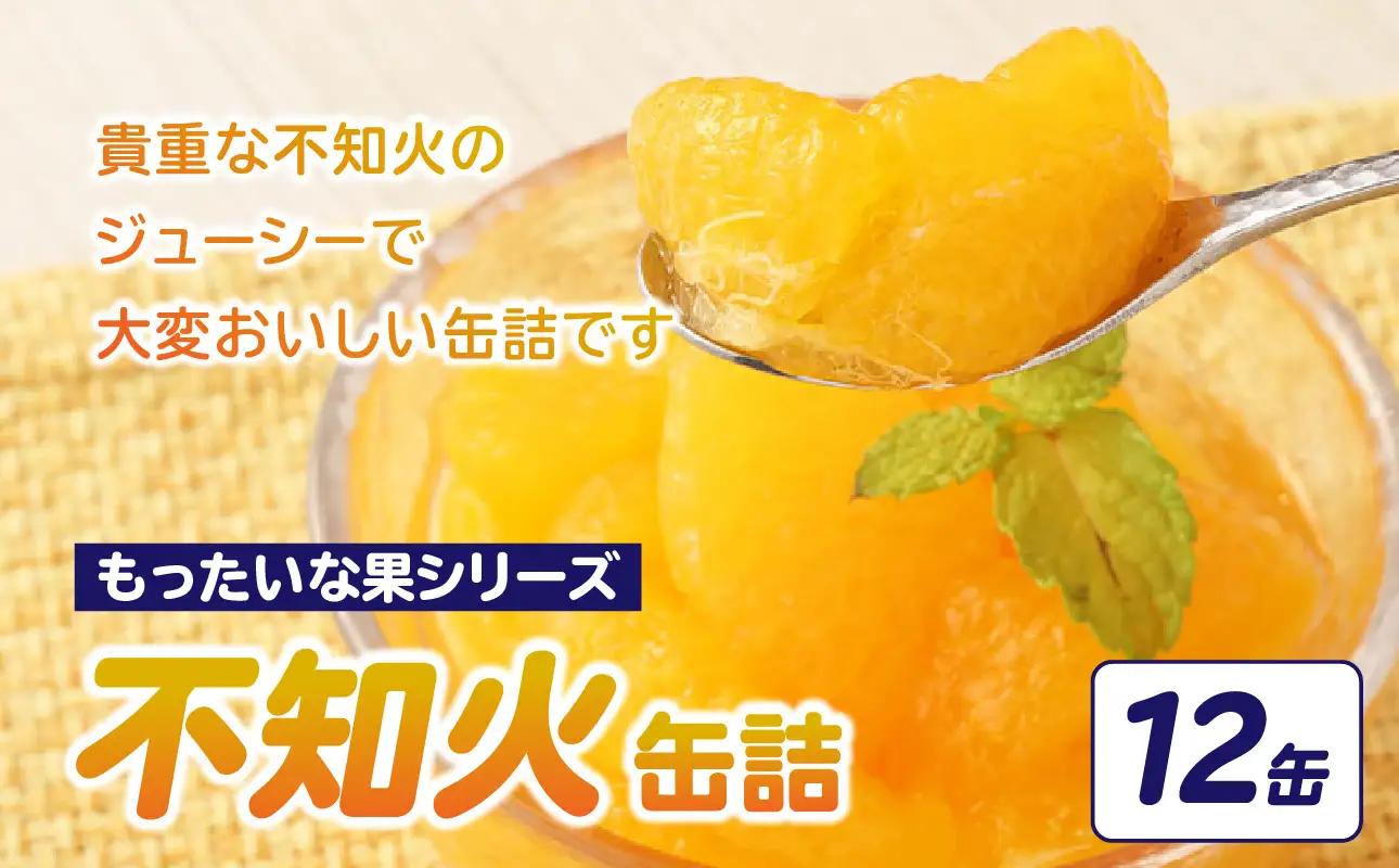 【訳あり】もったいな果シリーズ 不知火 缶詰 5号缶×12缶 セット 007-026