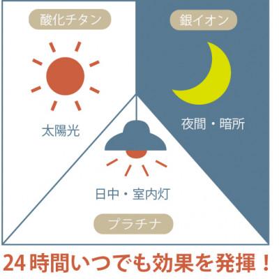 ふるさと納税 越谷市 キレースコート　350ml×1本 |  | 01