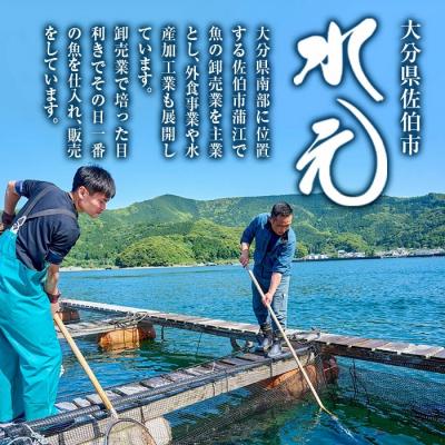 ふるさと納税 佐伯市 <訳あり>地魚海鮮漬け丼の素 (計8食) |  | 01