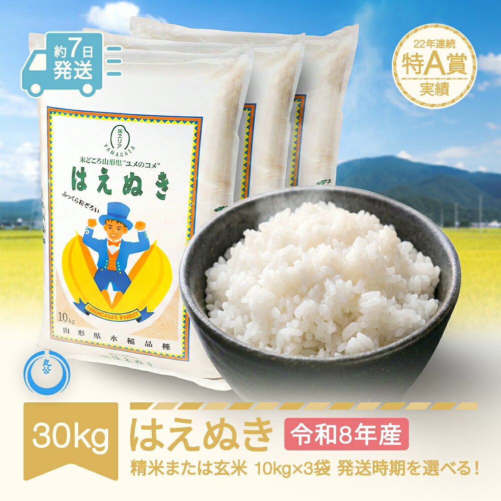 【ふるさと納税】新米 30kg 10kg×3 はえぬき 精米 玄米 令和8年産 2026年産 山形県産 送料無料