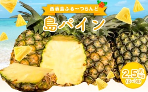 2026年 先行予約 島パイン (ハワイ種) 約2.5kg（2～3玉） パイナップルの王道 西表島産 パイン 果物 フルーツ