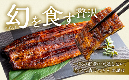 厳選 高級 青うなぎ 蒲焼 75尾 11250g 訳あり 大容量