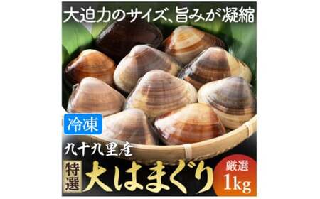 はまぐり 1kg 大サイズ 冷凍 九十九里 九十九里産 千葉県産 天然 はまぐり はまぐり はまぐり はまぐり はまぐり 蛤 蛤 蛤 蛤 蛤