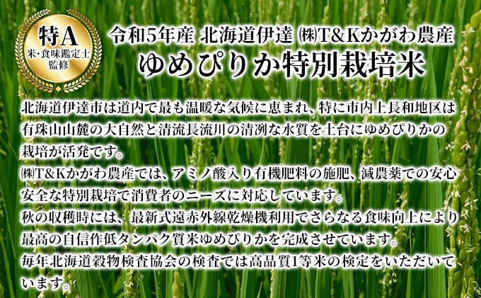 先行予約 2ヵ月 定期便【令和6年度】 北海道 伊達産 ゆめぴりか 10kg 精米